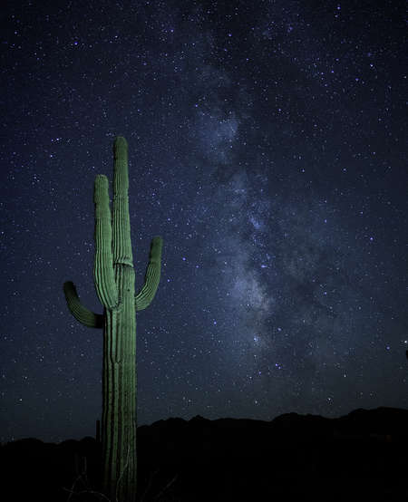 Milky Way with Cactus