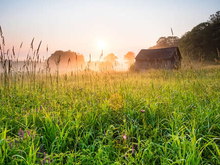 House in field at sunrise