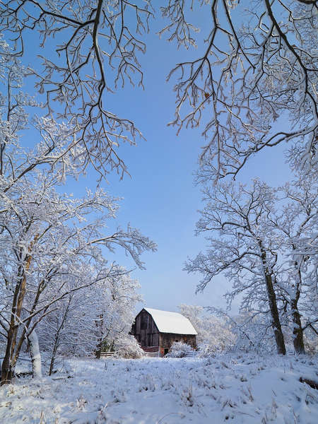 Barn and snowy field