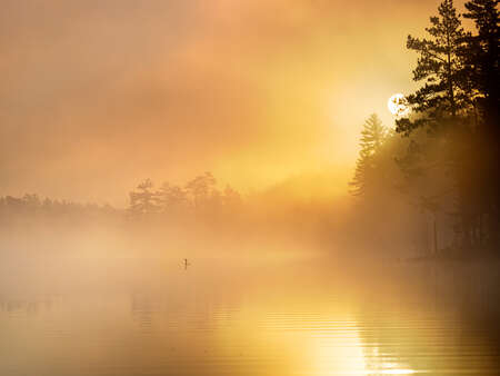 Misty September Morning