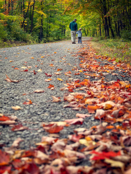 Man and Child on Autumn Road