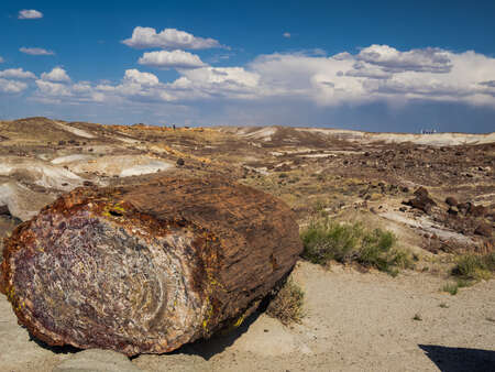 Log in Desert