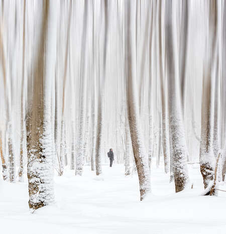 Man Looking Up in Snowy Forest