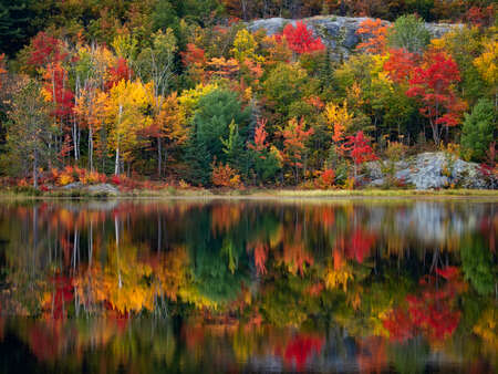 Autumn Colored Forest Reflection on Lake