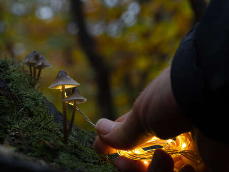 A simple string of battery-operated LEDs makes for an easy way to light up the underside of the mushroom's cap. 