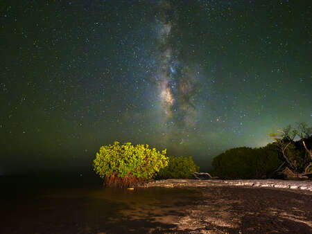 starry sky