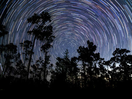 light composite