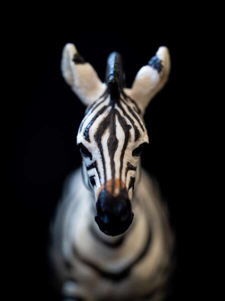 Toy Zebra