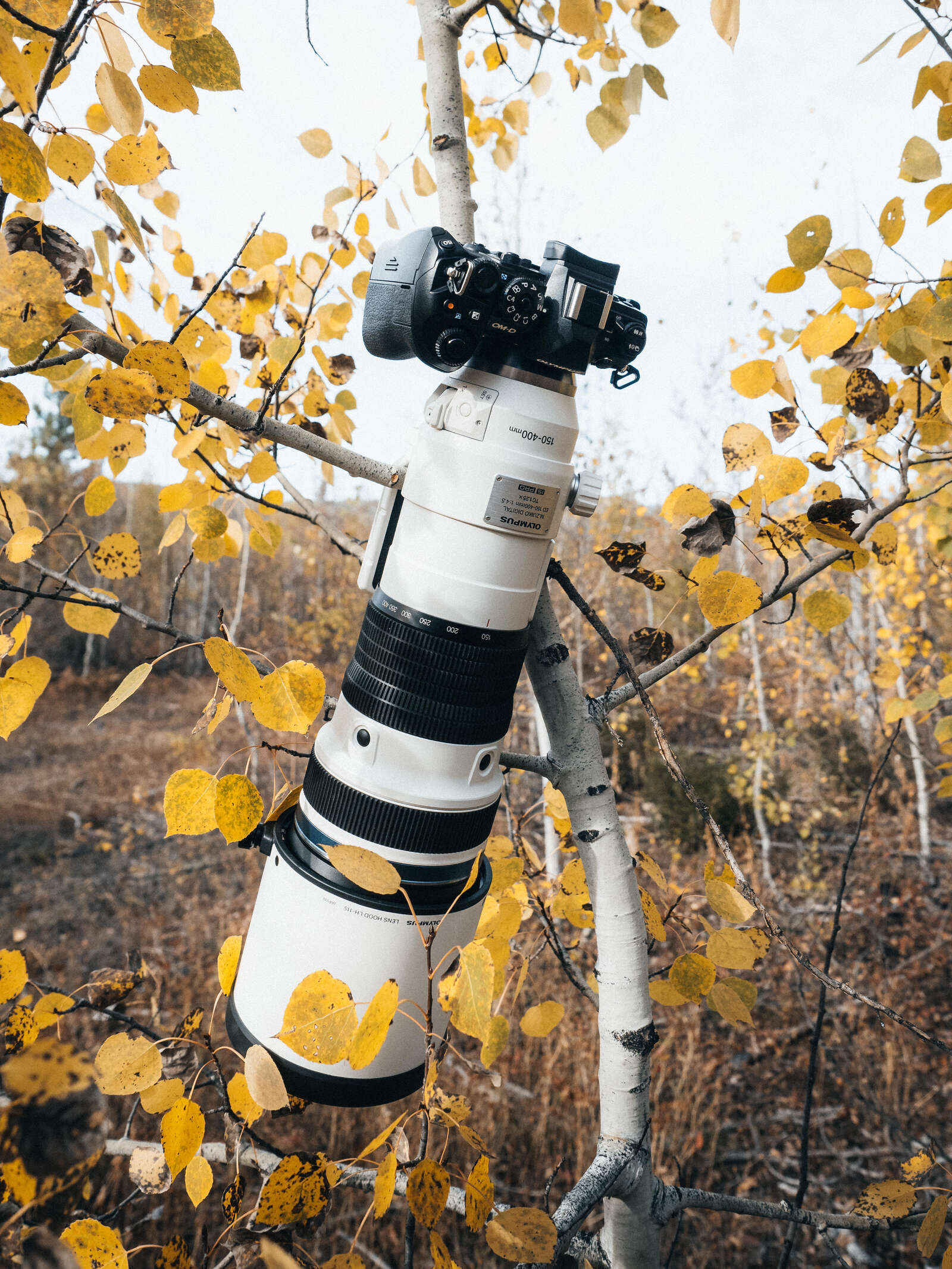 Traveling with the M.Zuiko 150-400mm F4.5 TC1.25x IS PRO | OM SYSTEM
