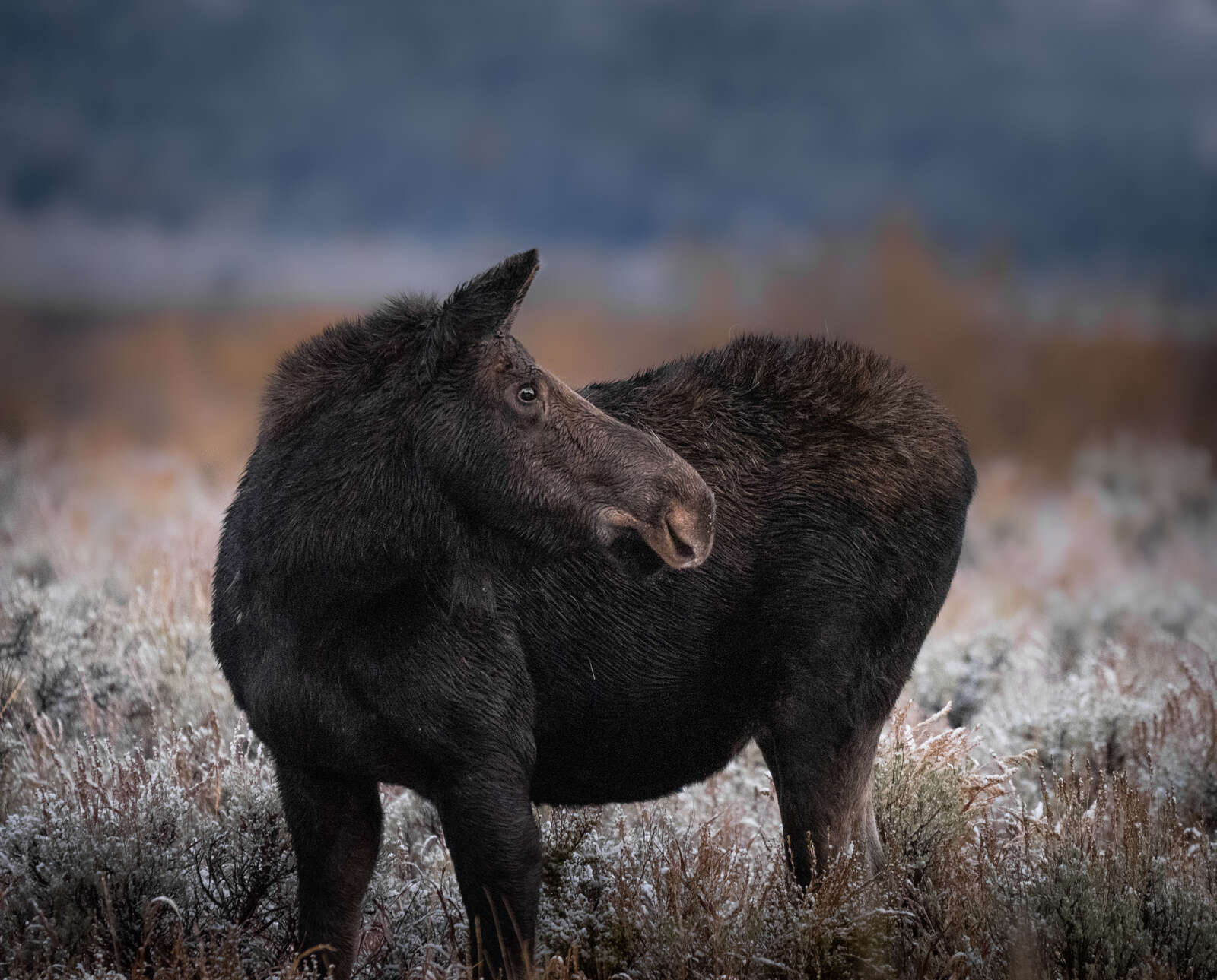Traveling with the M.Zuiko 150-400mm F4.5 TC1.25x IS PRO | OM SYSTEM