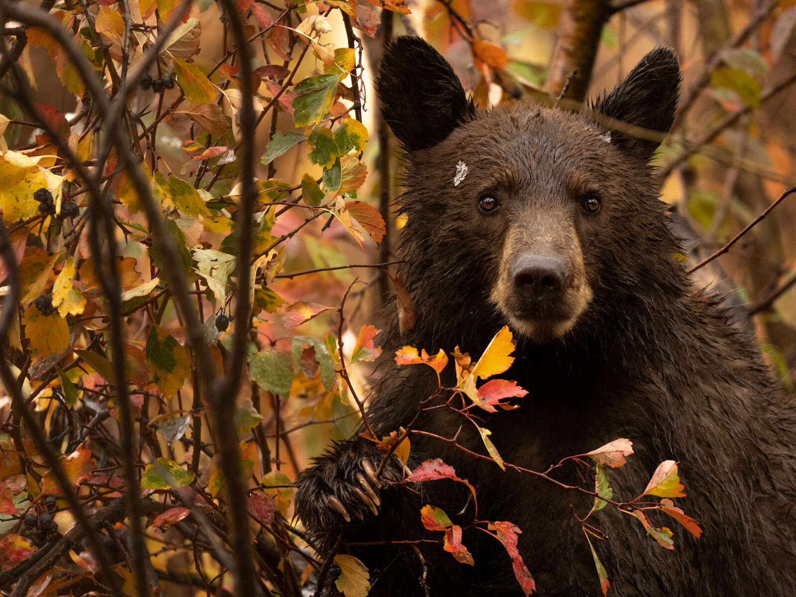 Traveling with the M.Zuiko 150-400mm F4.5 TC1.25x IS PRO | OM SYSTEM