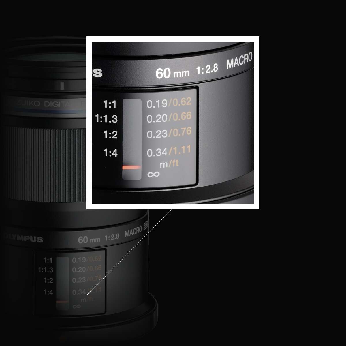 Mastering the 60mm Macro | OM SYSTEM Mastering the 60mm Macro | OM SYSTEM