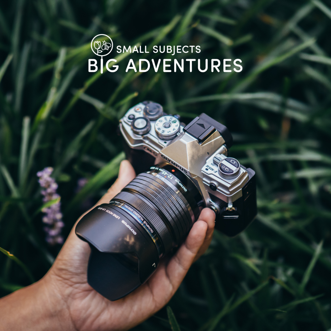 Small Subjects, Big Adventures | OM SYSTEM