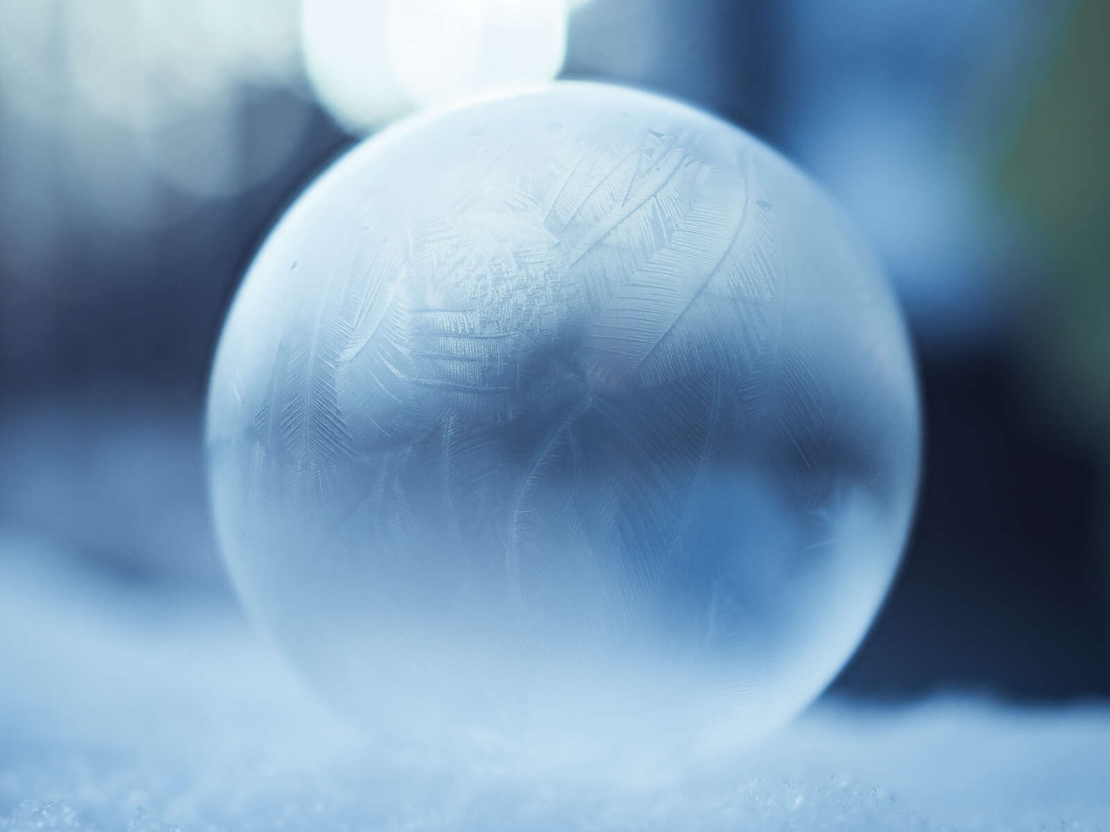 How to Photograph Macro Bubbles