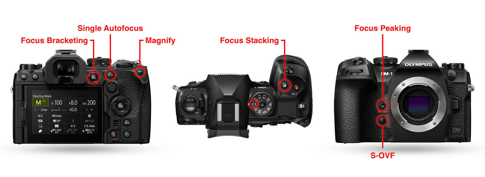 My OM-1: Custom Settings for Field Macro | OM SYSTEM