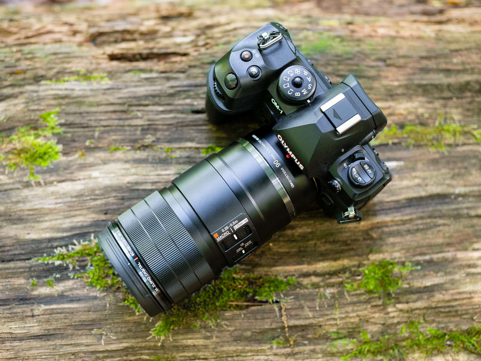 Which Macro Lens is Right for You? | OM SYSTEM