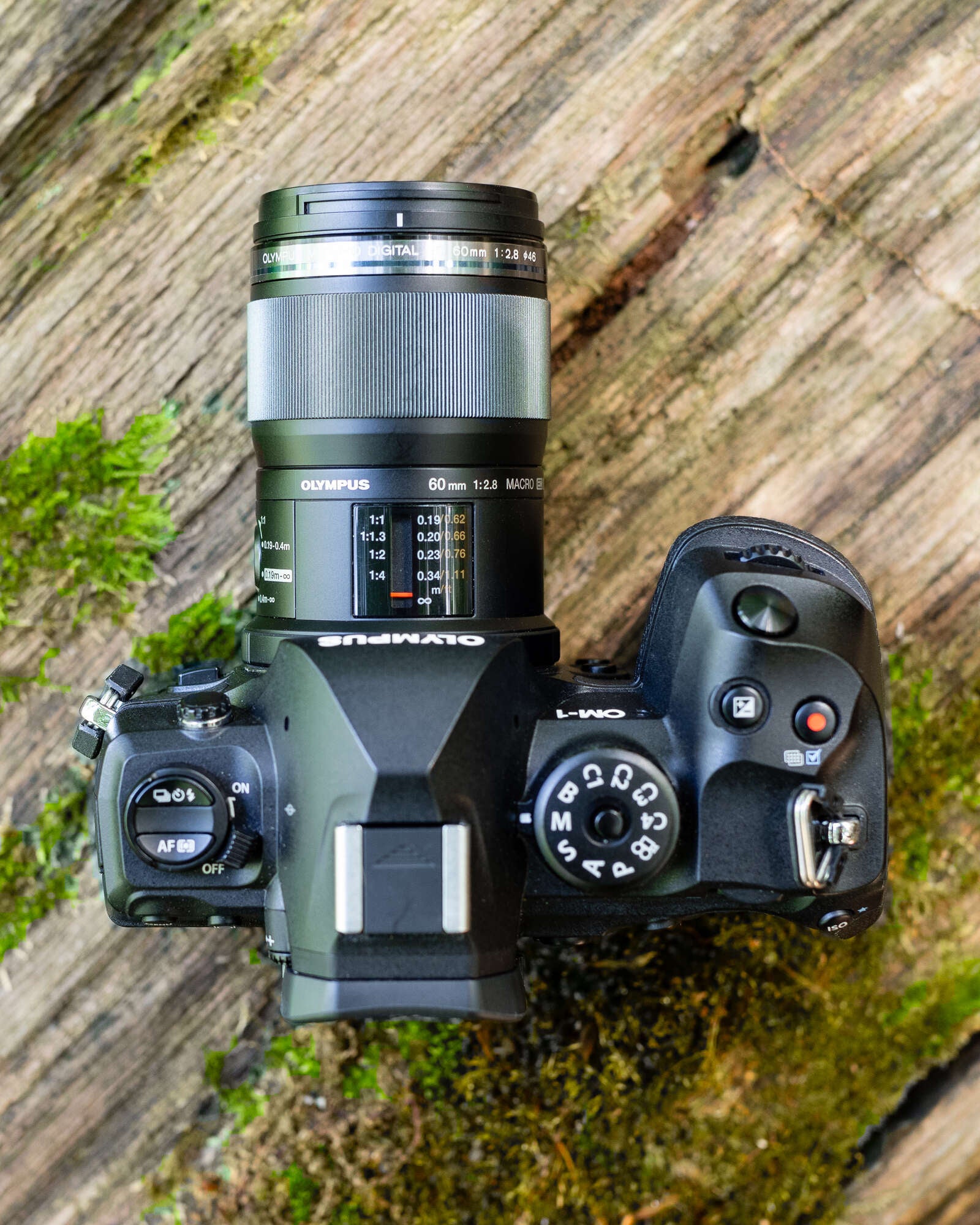 Which Macro Lens is Right for You? | OM SYSTEM