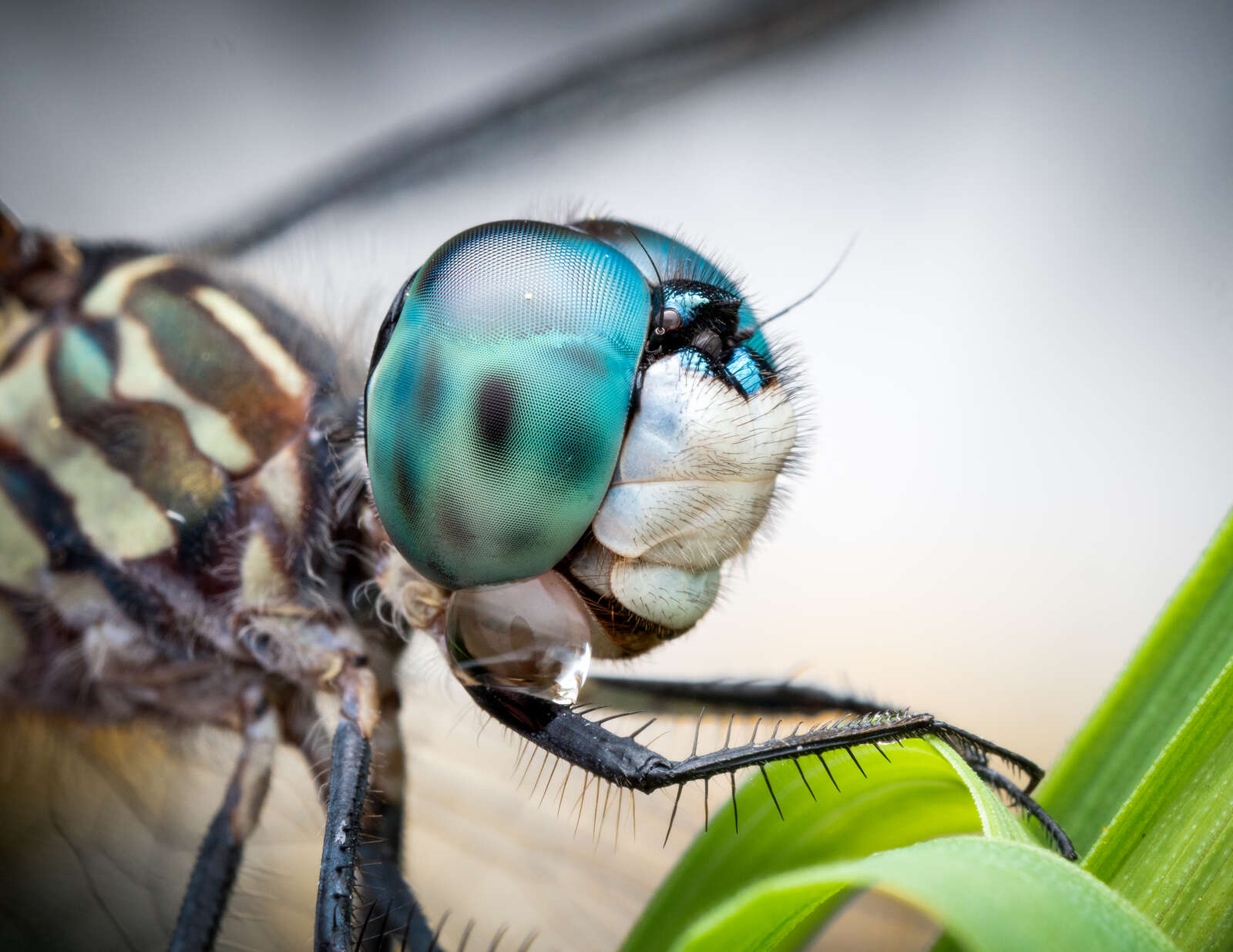 Photography with OM-D + M.Zuiko 60mm Macro | Olympus