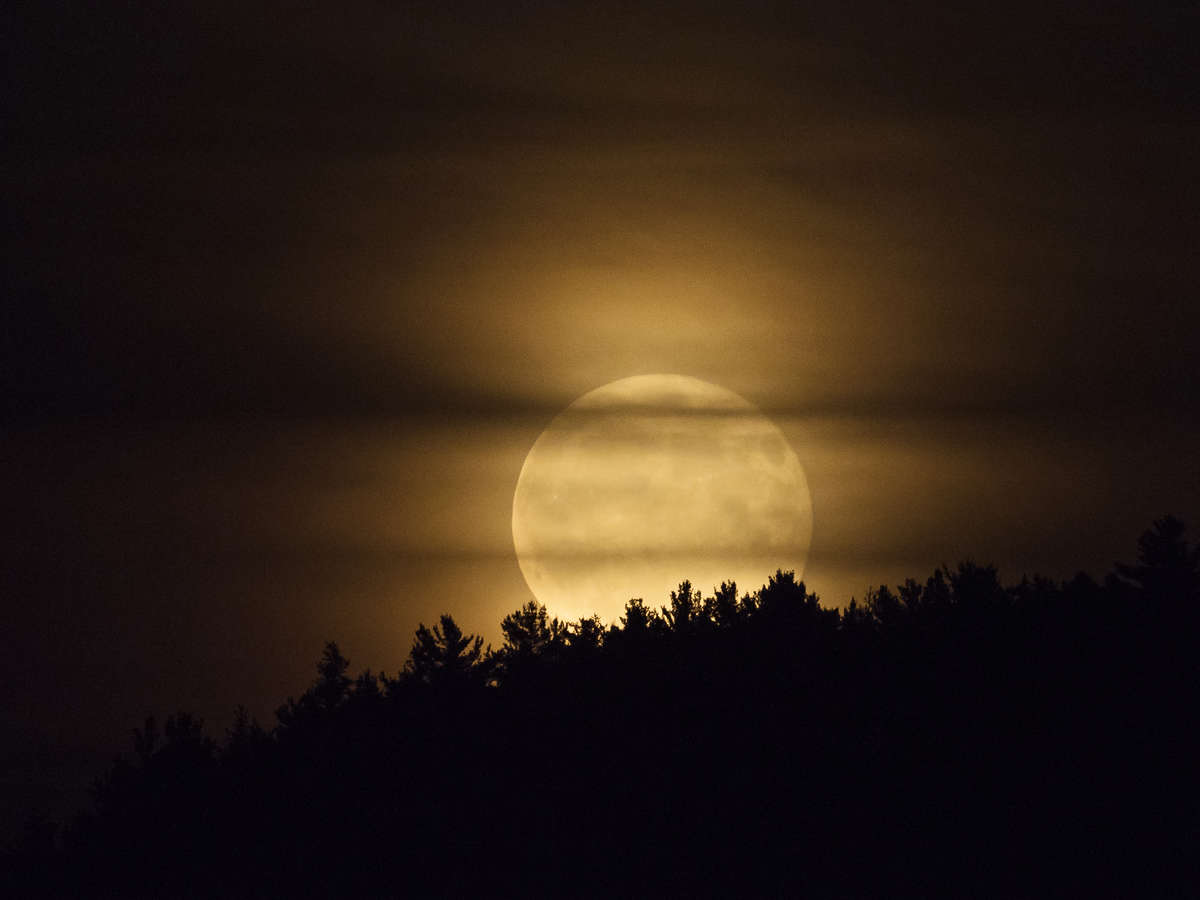 Close up Moon