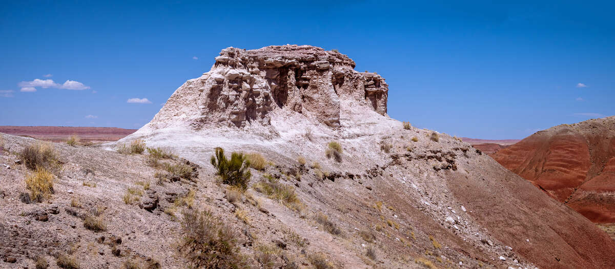 Desert Landscape