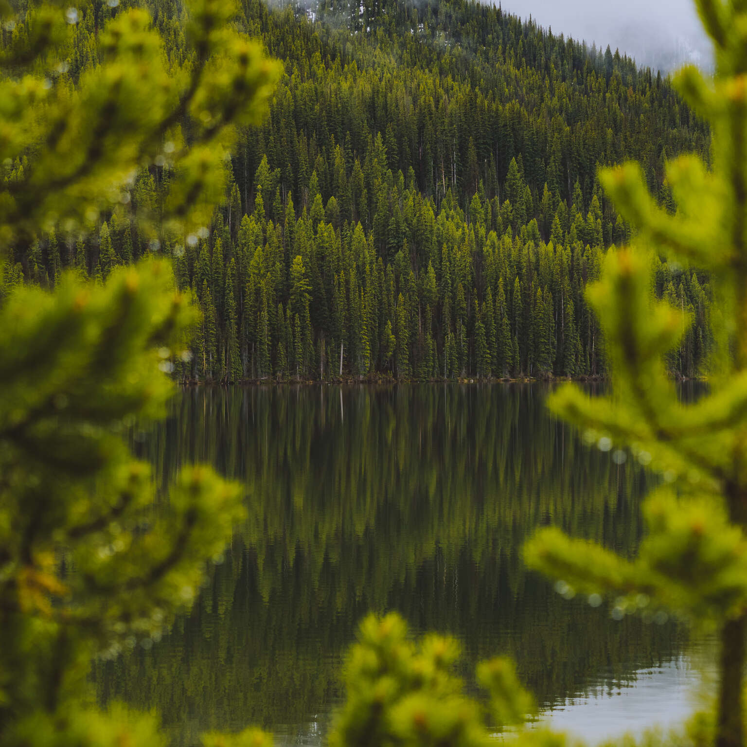 LANDSCAPES & NATURE | Olympus