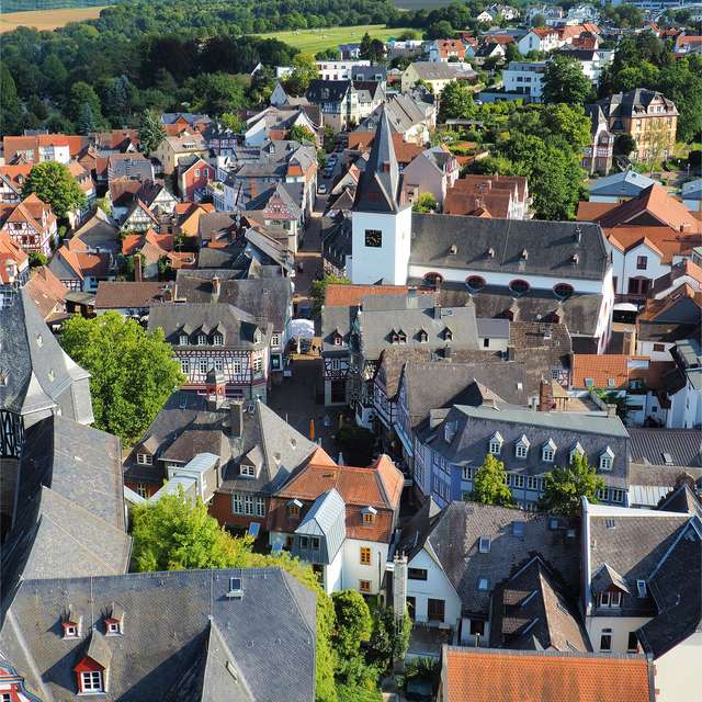 Ariel View
