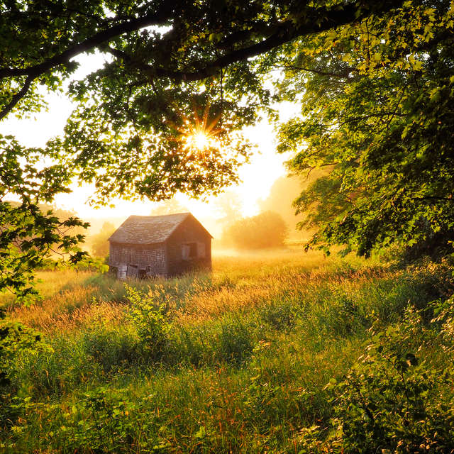 House framed by trees and sun rays