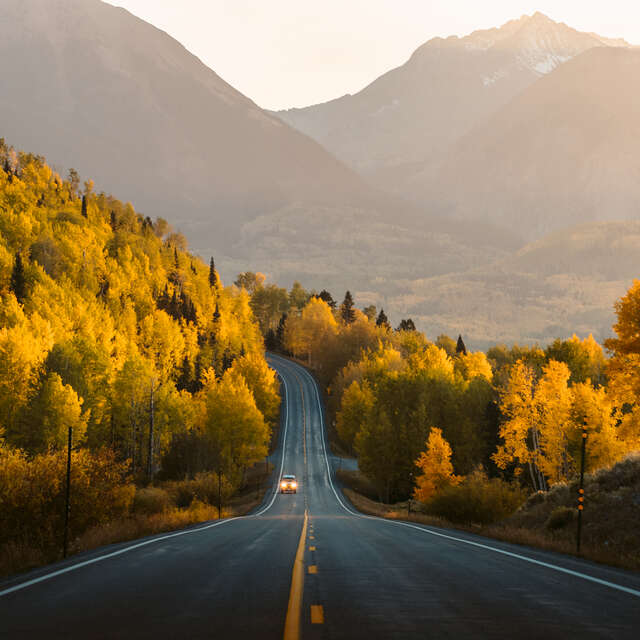 Autumn Road