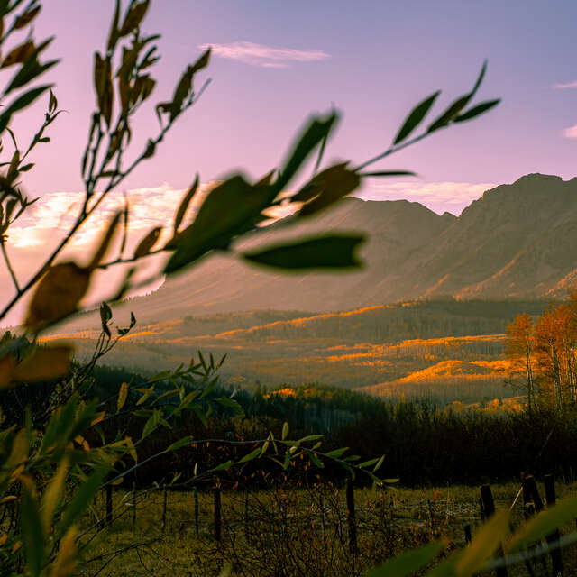 Colorado