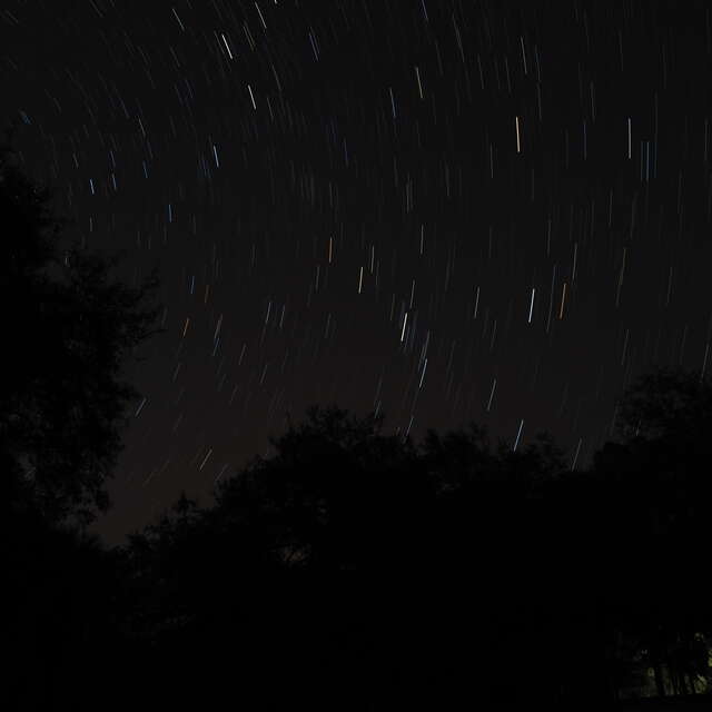 Star Trails