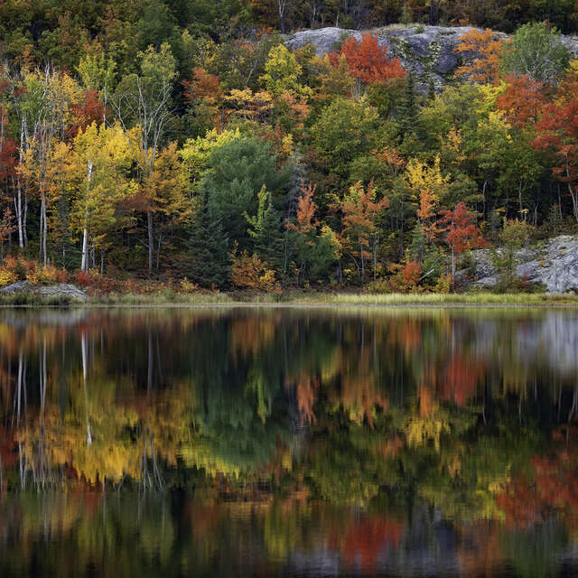 Autumn Reflection