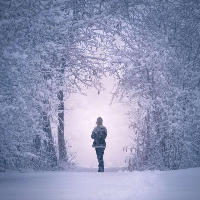 Woman in Snowy Woods