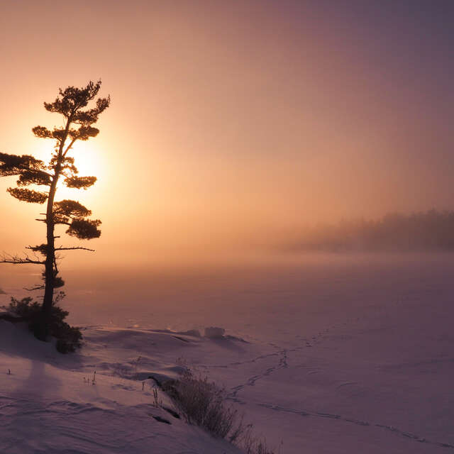 Winter Sunset