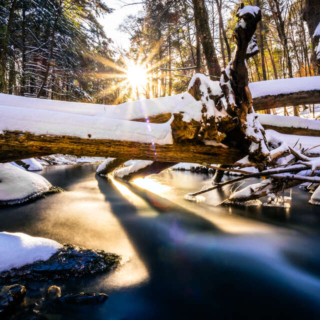 Frank Smith Winter Photo