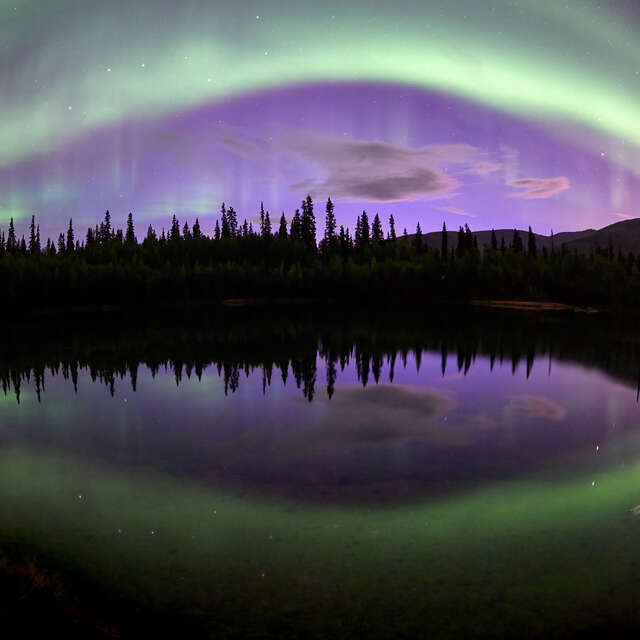 Aurora Over Forest