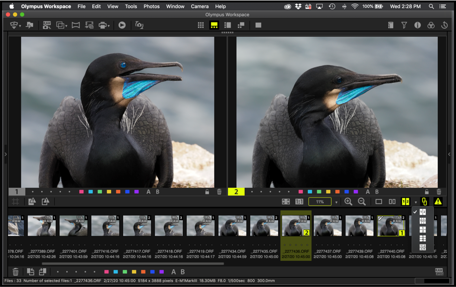 Olympus Workspace A Beginner's Guide OM SYSTEM