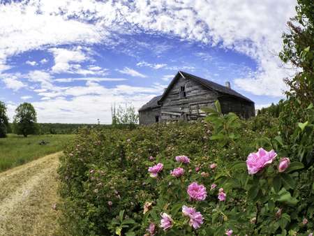 Scenic Landscape with a Barn
