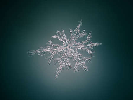 Macro Snowflake