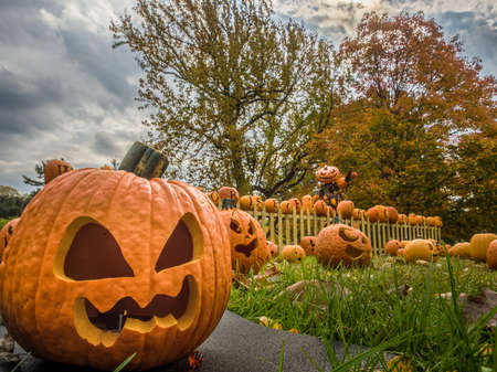 HDR Pumpkin