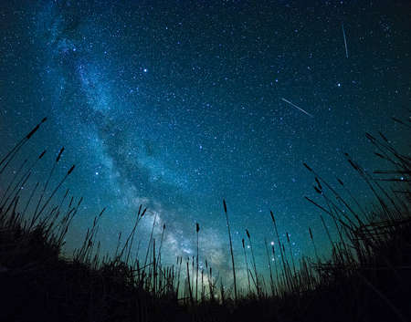 shooting stars from field