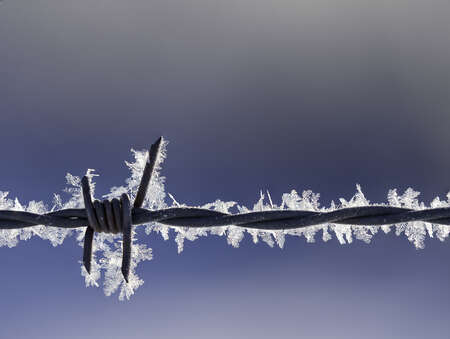 frost on chain