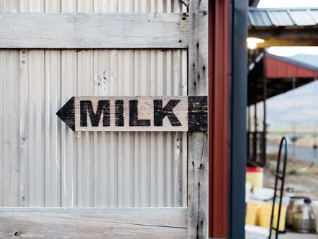 Milk Sign