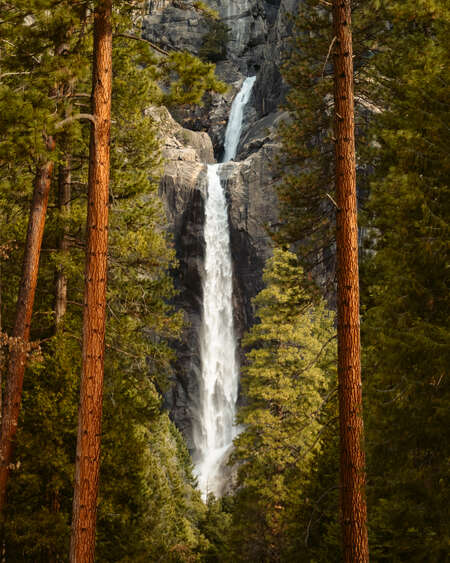 Waterfall with Trees