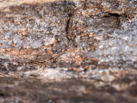 Rock Close-Up