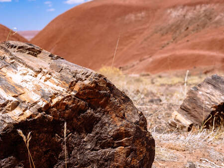 Rock in Desert