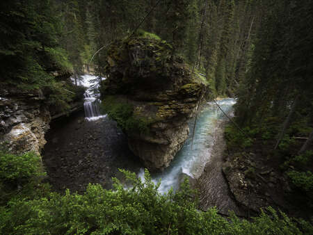 River in the Forest