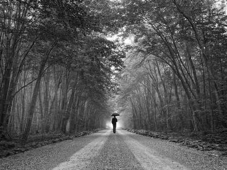 Man With Umbrella on Forest Path