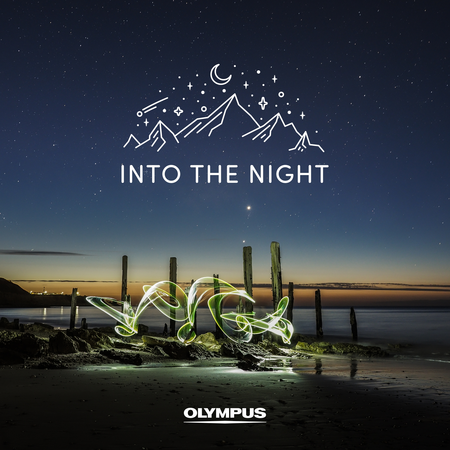 Into the Night