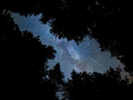 Capturing Meteor Showers | OM SYSTEM