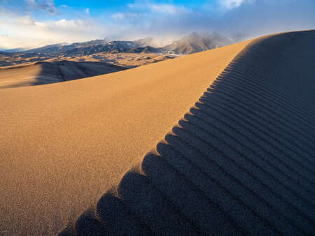 Abstract Sane Dunes